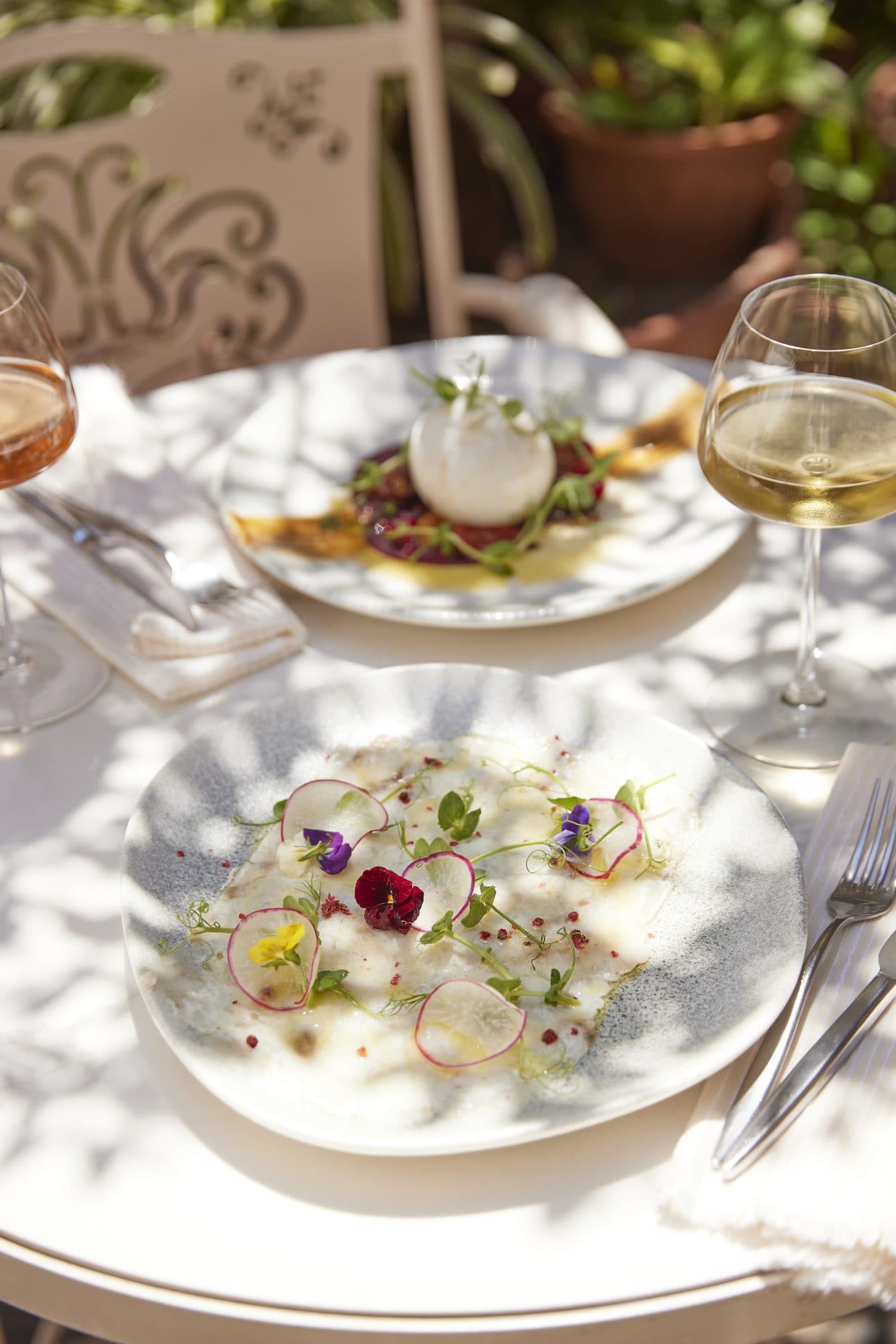 A plate from the kitchen of IL CORTILE