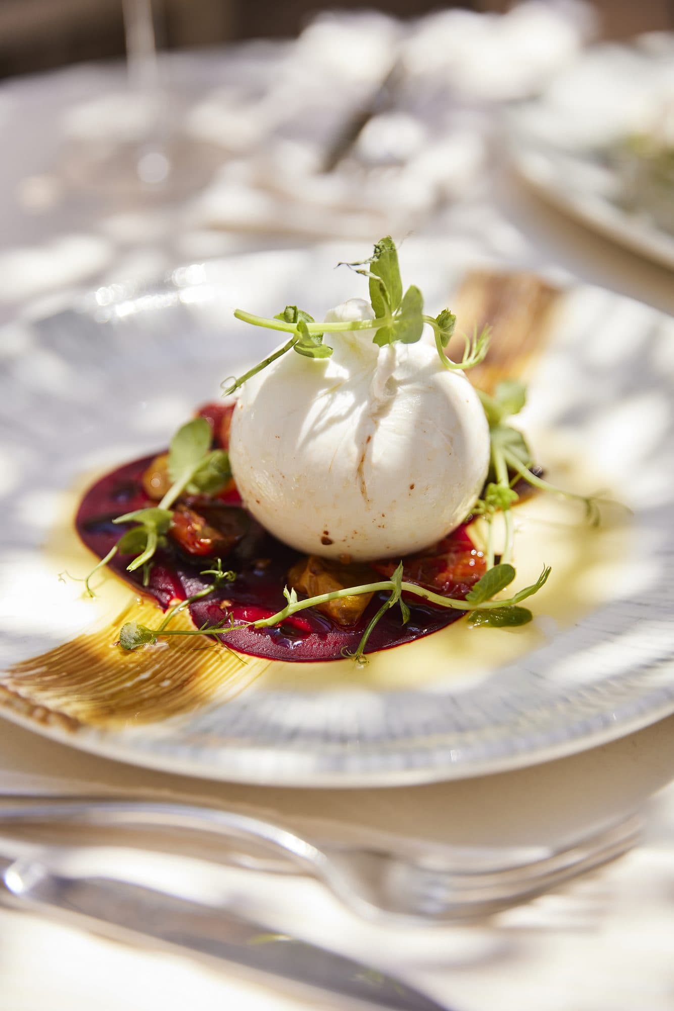 A plate from the kitchen of IL CORTILE